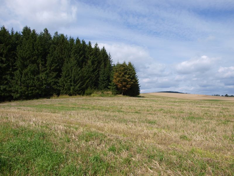 Řečice, Česká republika