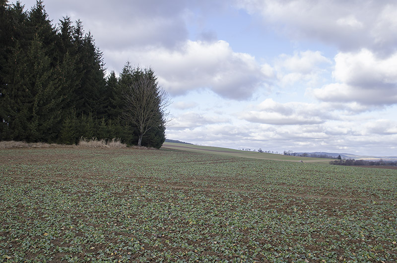 Řečice, Česká republika
