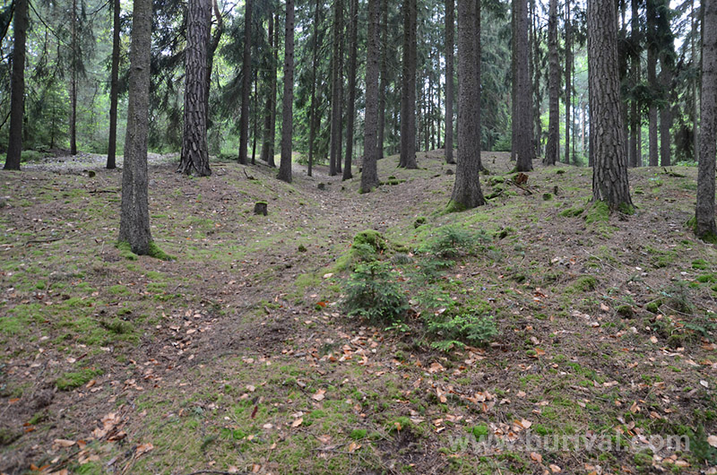 Roudný, Česká republika