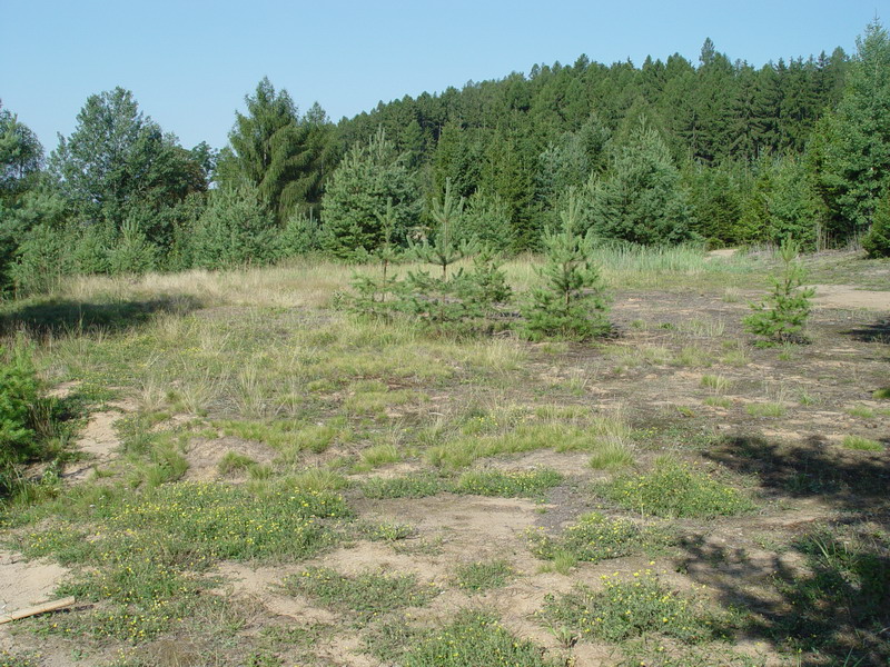 Roudný u Vlašimi, Česká republika