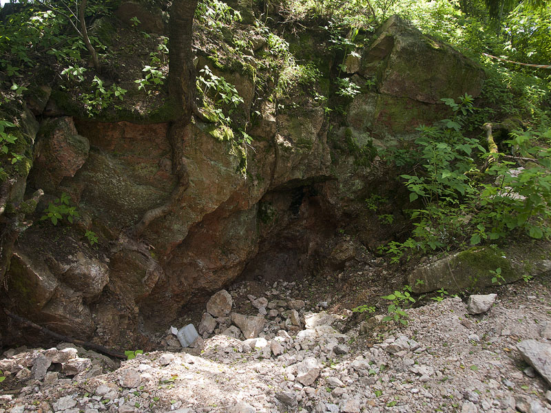 Rožná, Borovina, Česká republika