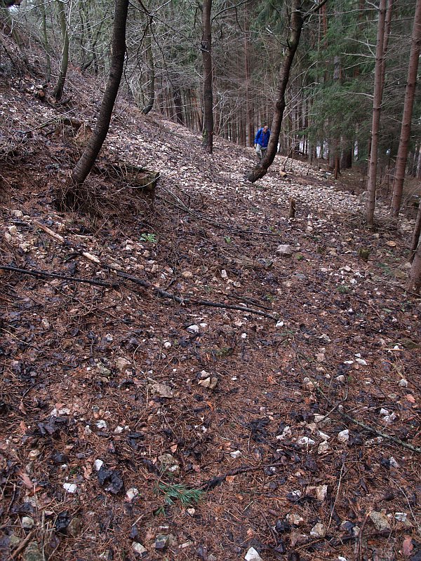 Rožná, Hradisko, Česká republika