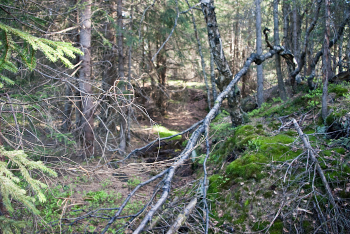 Rýžovna, Krušné hory, štola Aller Seelen, Česká republika