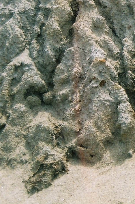 Sheeve Ovoo, Mongolsko