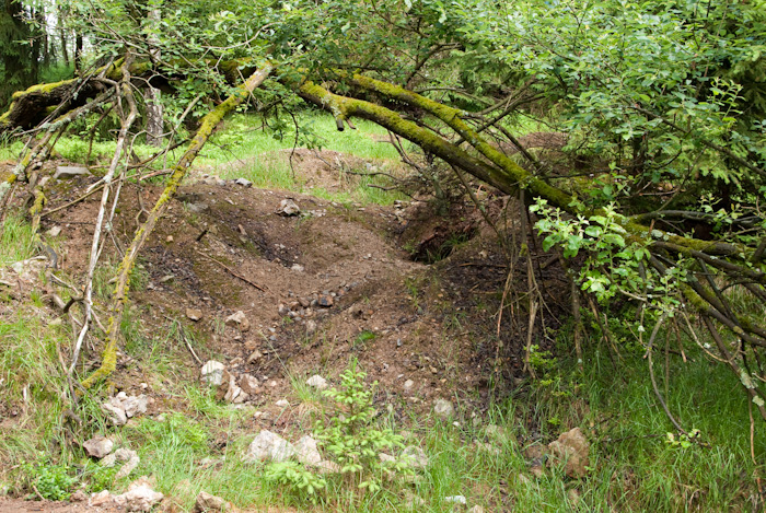 Smrkovec, Česká republika