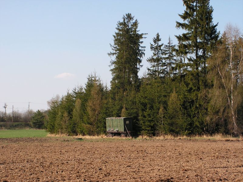 Suky, Česká republika