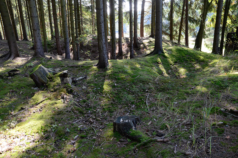 Těšenov, Česká republika