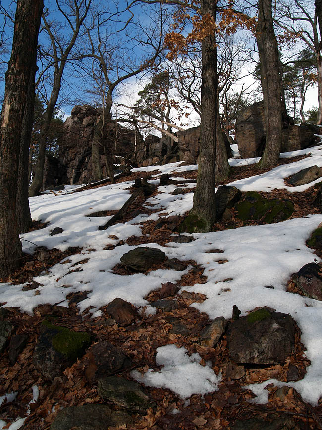 Tišnov, Květnice, Velká skála, Česká republika