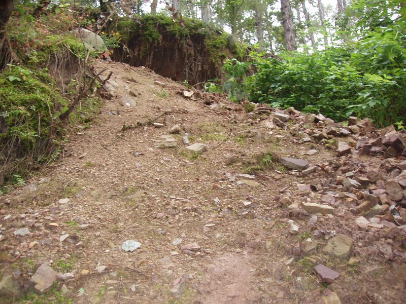 Třenice, Česká republika