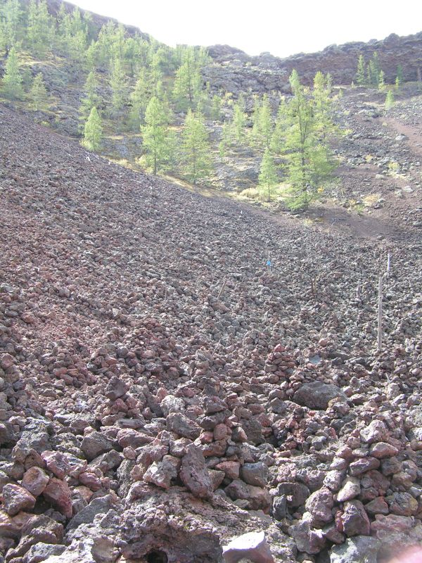 Tsagan Nur, Mongolsko