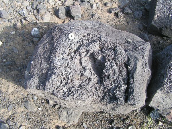 Tsagan Nur, Mongolsko