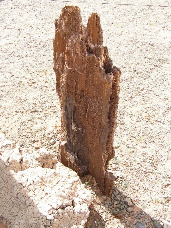 Ulugei Chid, Mongolsko