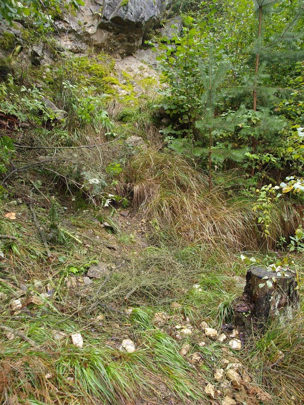 Věžná II, Česká republika