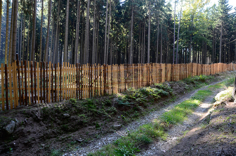 Vyskytná, Česká republika