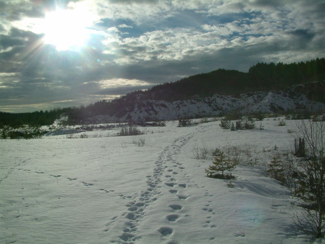 Vyšný, Česká republika
