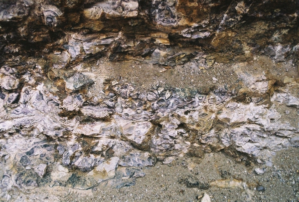 Winterlai, Mongolsko