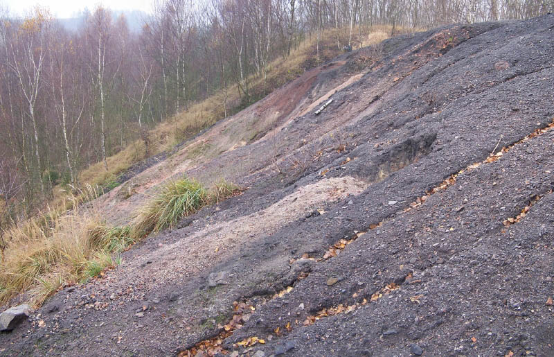 Zastávka u Brna, Česká republika