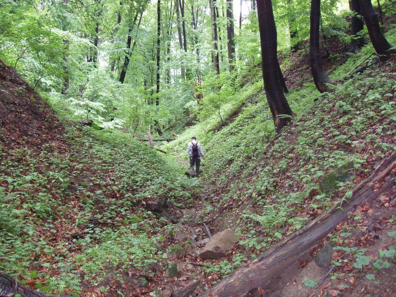 Žilina, Česká republika
