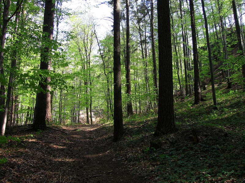 Zlatá Baňa, Slovensko