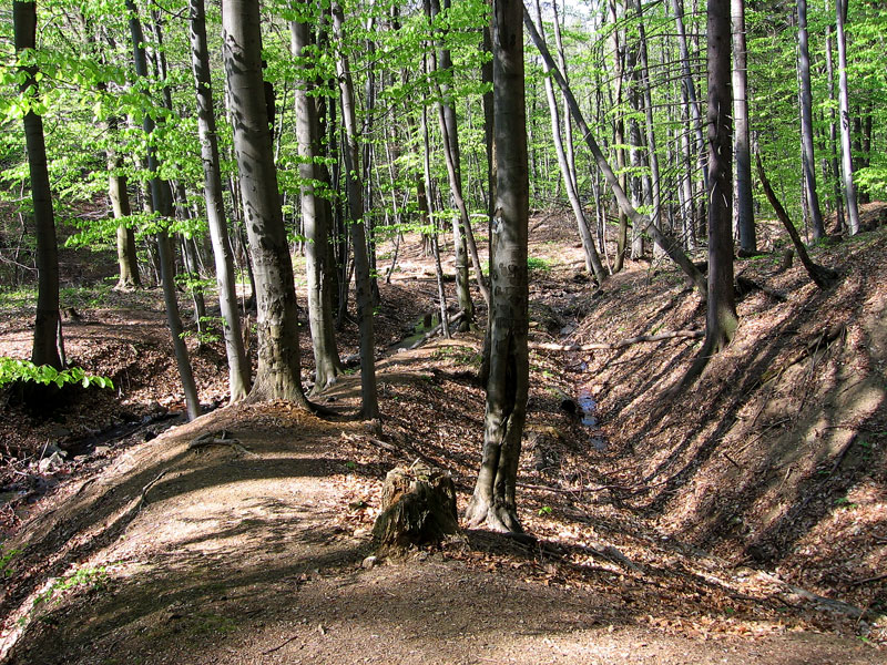 Zlatá Baňa, Slovensko