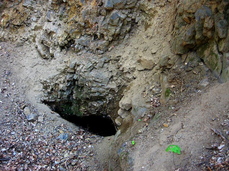 Zlatá Baňa, Slovensko