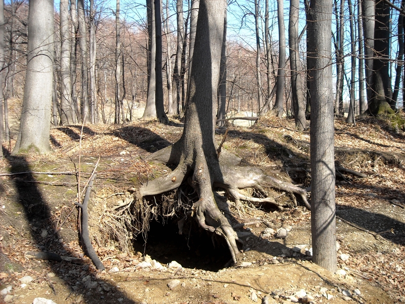 Žulová, Korálové jámy, Česká republika