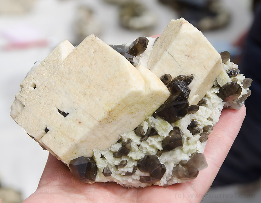 Křemen (var. Záhněda), Ortoklas, Albit