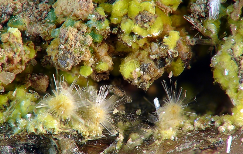 Autunit, Metatorbernit, Sádrovec