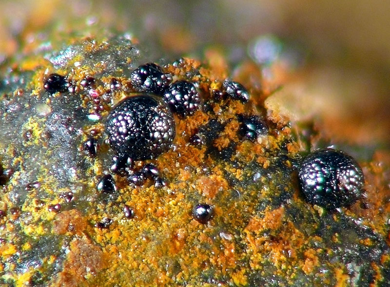 Eulytin, Bizmutoferrit