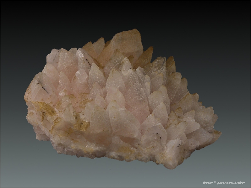 Kalcit (var. Manganokalcit)