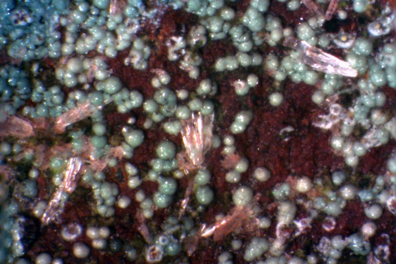 Chalkosiderit, Wavellit