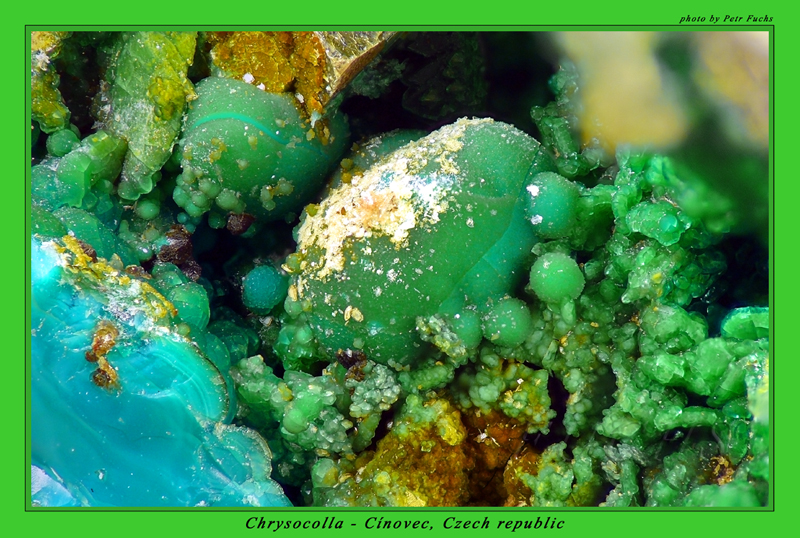 Chryzokol