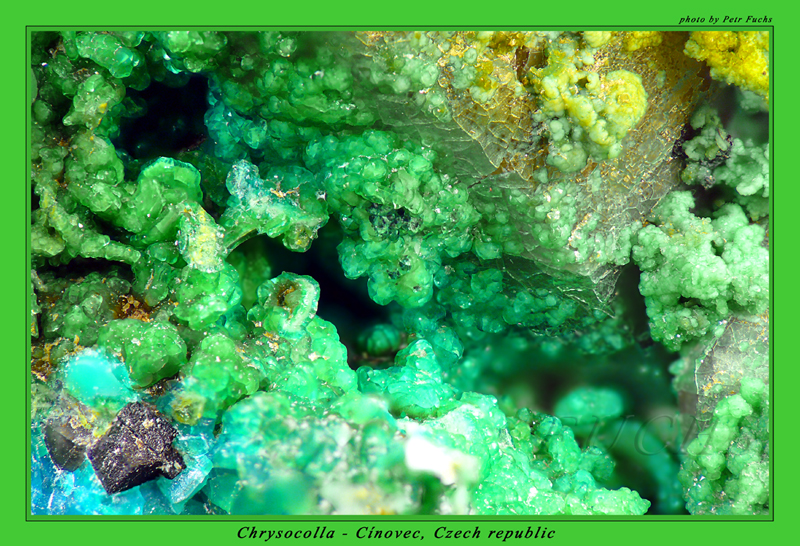 Chryzokol