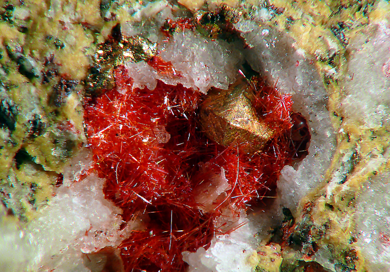 Měď, Kuprit (var. Chalkotrichit)