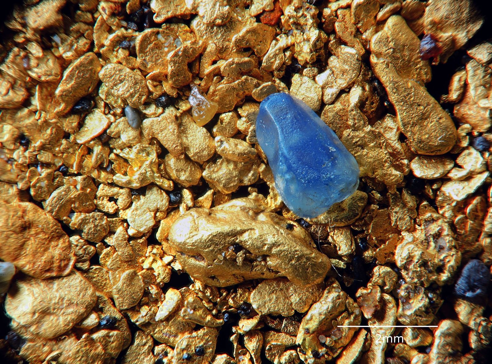 Korund (var. Safír), Zlato