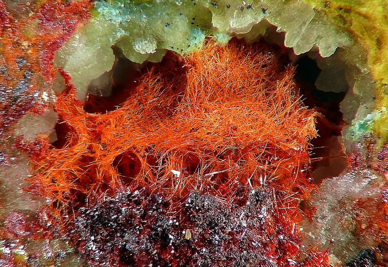 Kuprit (var. Chalkotrichit)