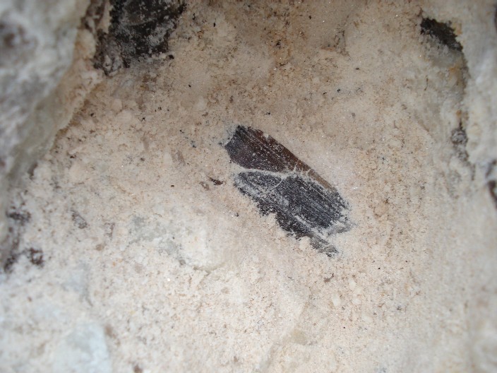 Elbait (var. Verdelit)