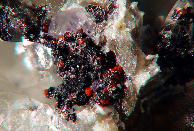 Florencit-(Ce), Wolframit