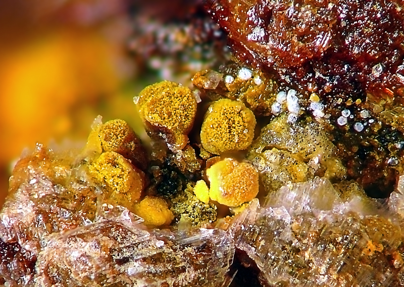 Jarosit, Opál, Sádrovec