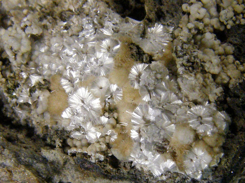 Pikrofarmakolit, Hörnesit