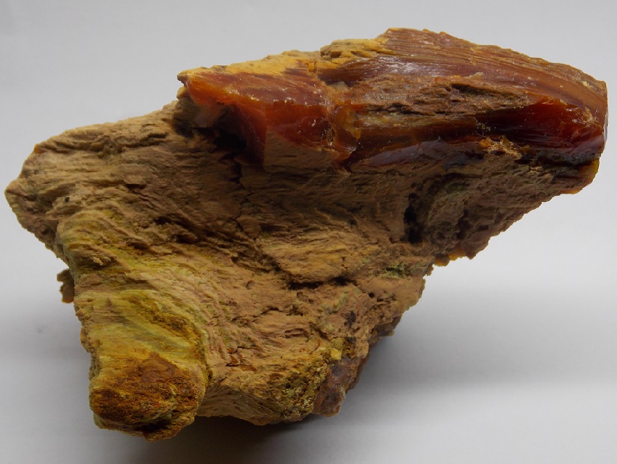 Opál (var. Opalizované Dřevo)