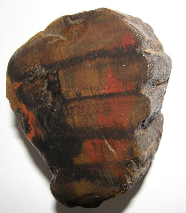 Křemen (var. Zkamenělé Dřevo)