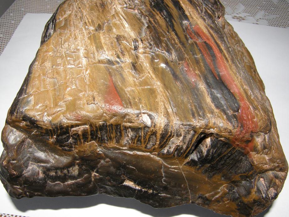 Křemen (var. Zkamenělé Dřevo)