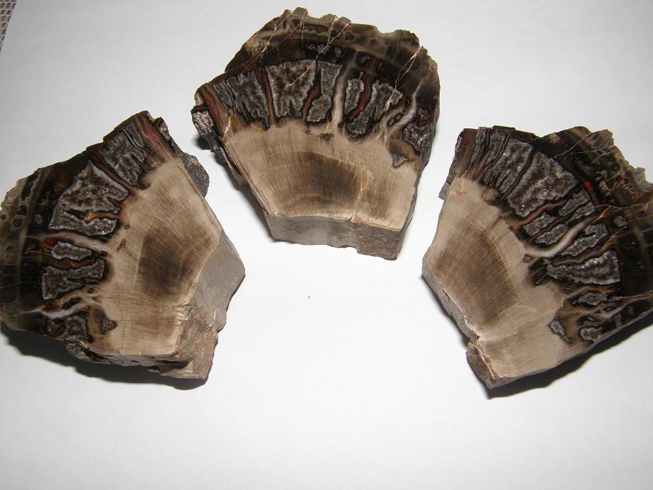 Křemen (var. Zkamenělé Dřevo)