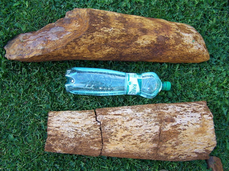 Křemen (var. Zkamenělé Dřevo)