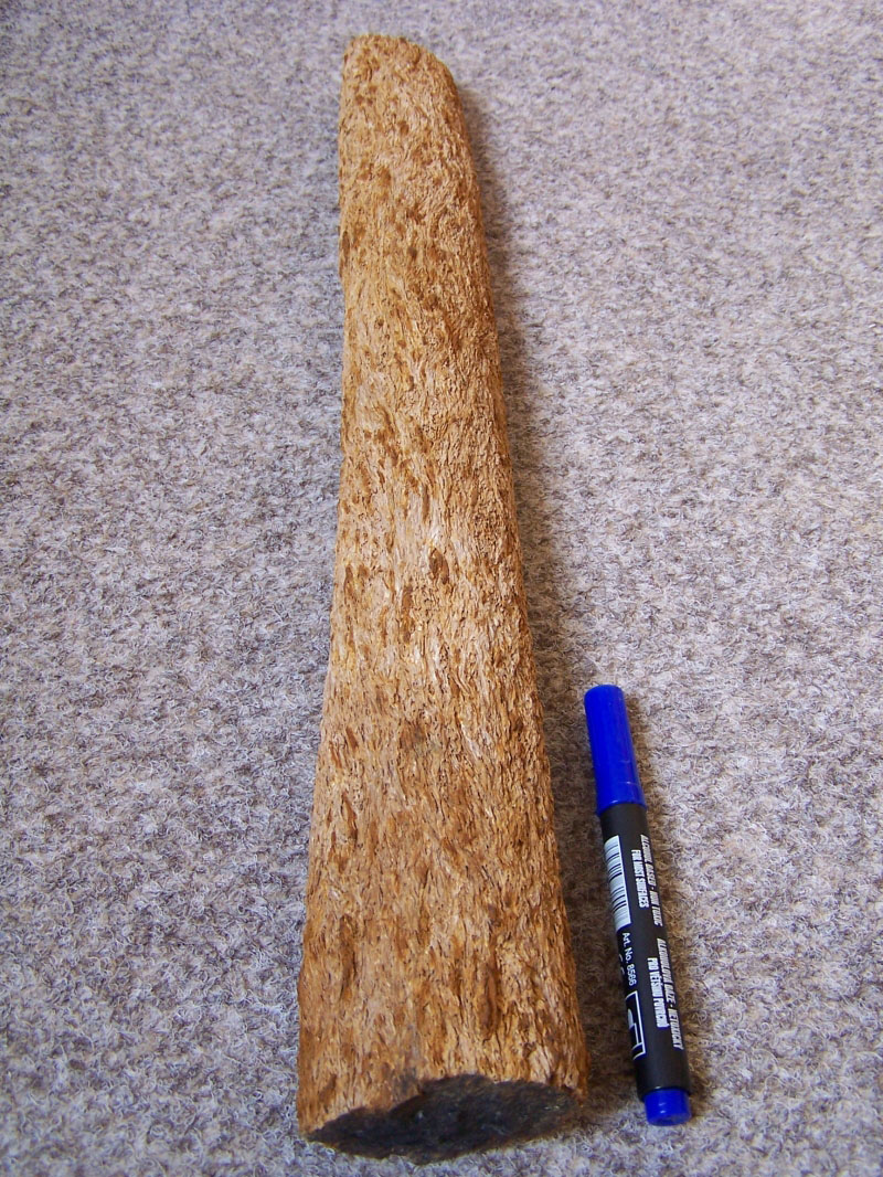 Křemen (var. Zkamenělé Dřevo)