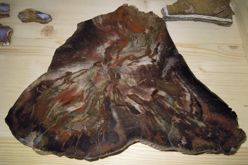 Křemen (var. Zkamenělé Dřevo)