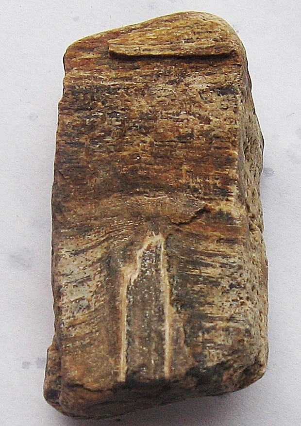 Křemen (var. Zkamenělé Dřevo)