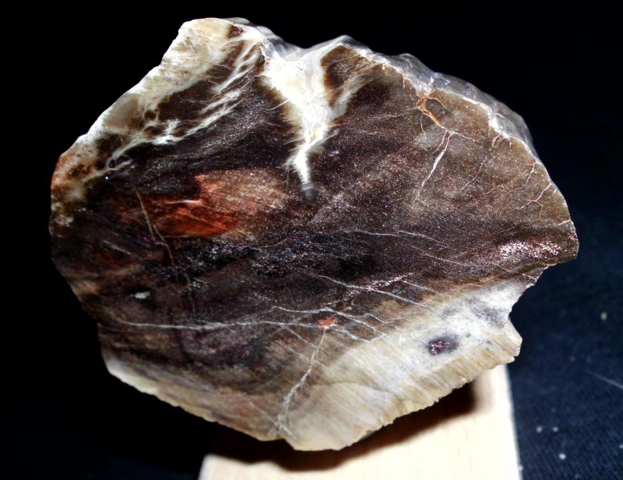 Křemen (var. Zkamenělé Dřevo)