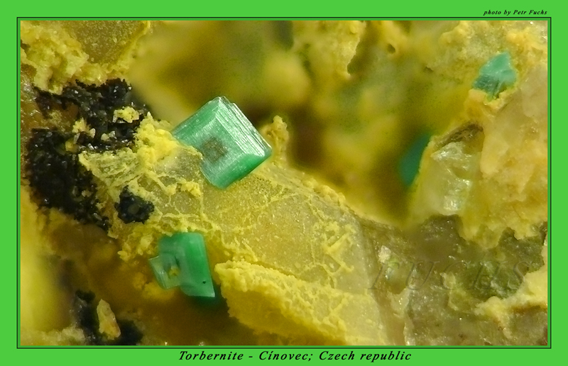 Torbernit